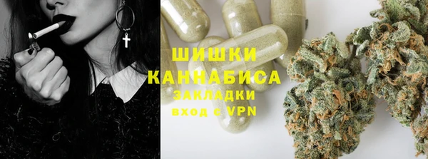 прущие крисы Белокуриха
