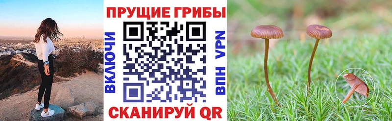Псилоцибиновые грибы ЛСД  Николаевск-на-Амуре 